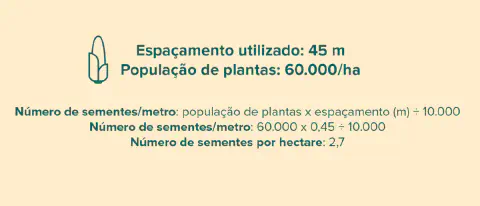 infográfico educacional que demonstra o cálculo para determinar o número de sementes por metro linear em uma la