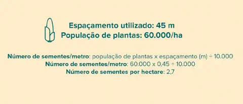 infográfico educacional que demonstra o cálculo para determinar o número de sementes por metro linear em uma la