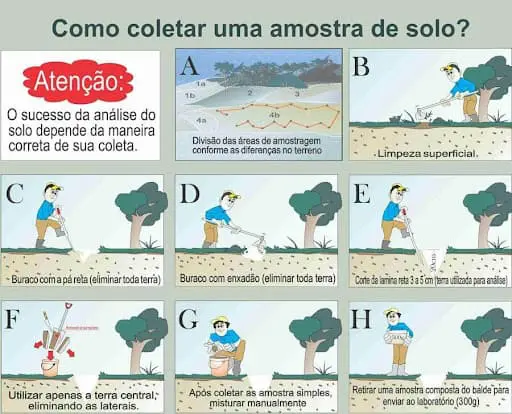 infográfico educacional em português que detalha o processo correto de coleta de amostras de solo para análise