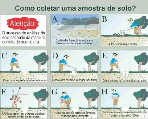 infográfico educacional em português que detalha o processo correto de coleta de amostras de solo para análise