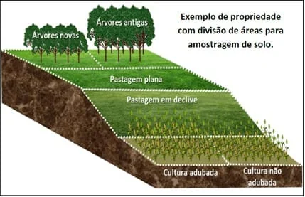 diagrama ilustrativo que demonstra como uma propriedade rural deve ser dividida em áreas ou glebas homogêneas p