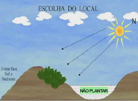 ilustração didática que explica os critérios para a 'Escolha do Local' ideal para o plantio agrícola, focando