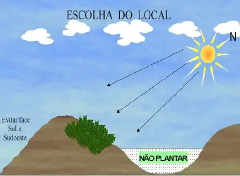 ilustração didática que explica os critérios para a 'Escolha do Local' ideal para o plantio agrícola, focando