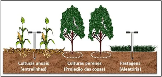 infográfico educacional que ilustra os métodos corretos de amostragem de solo para três tipos diferentes de sis
