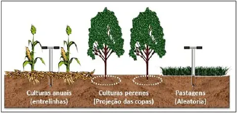 infográfico educacional que ilustra os métodos corretos de amostragem de solo para três tipos diferentes de sis