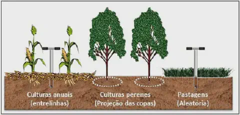 infográfico educacional que ilustra os métodos corretos de amostragem de solo para três tipos diferentes de sis