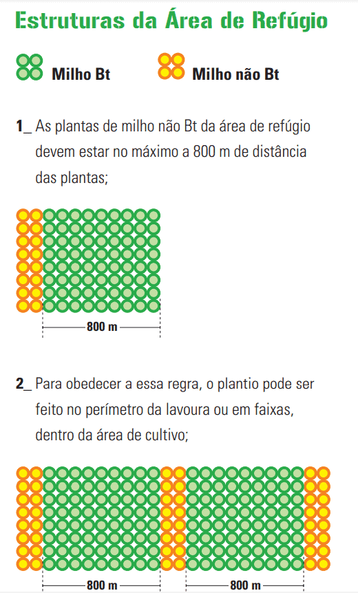 Este infográfico detalha as estruturas recomendadas para a implementação de áreas de refúgio em lavouras de milho. A imagem u