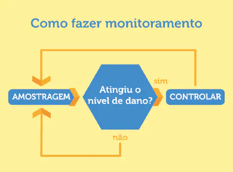 fluxograma didático que ilustra o processo de tomada de decisão no monitoramento agrícola, especificame