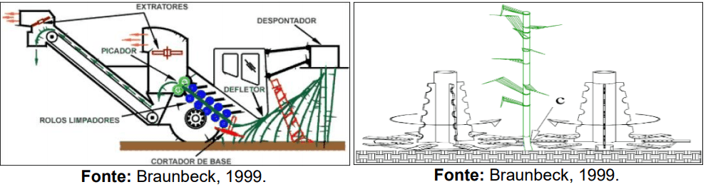 diagramas técnicos que ilustram o processo de colheita mecanizada da cana-de-açúcar. A figura da