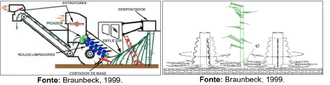 diagramas técnicos que ilustram o processo de colheita mecanizada da cana-de-açúcar. A figura da