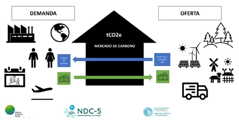 Como funciona o crédito para produtor rural