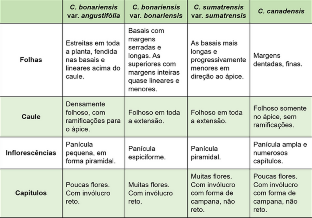 tabela comparativa detalhada, projetada para auxiliar na identificação de quatro tipos diferentes da p