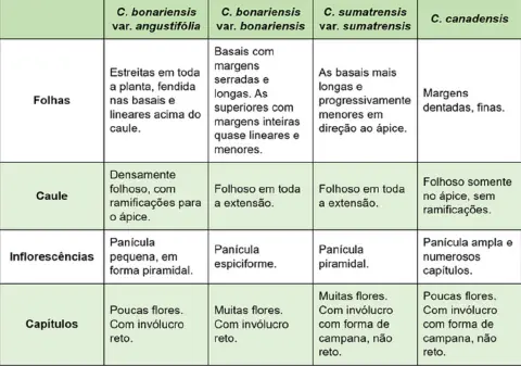 tabela comparativa detalhada, projetada para auxiliar na identificação de quatro tipos diferentes da p