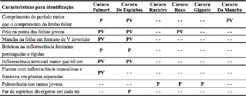 uma tabela comparativa, em português, destinada à identificação de diferentes espécies da planta daninha conhe