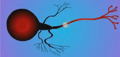 uma representação esquemática de um neurônio, a célula fundamental do sistema nervoso, sobre um fundo azul-arr