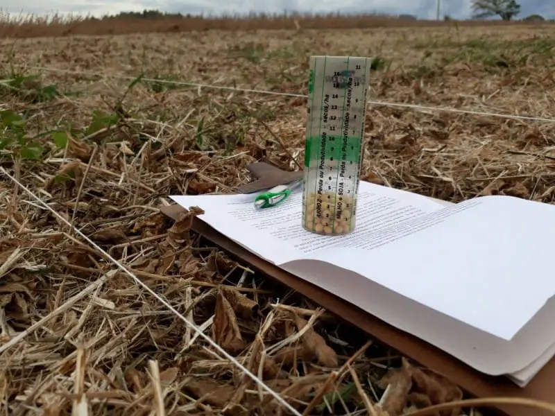 Como Medir Perdas na Colheita de Soja: Guia Prático cena de campo em uma lavoura após a colheita, com foco em uma avaliação técnica de perdas de grãos. Em p