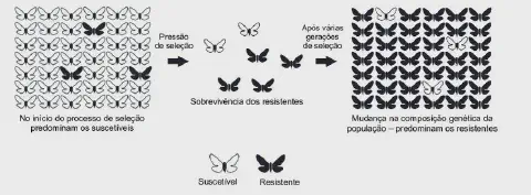 infográfico esquemático que ilustra o processo de seleção natural e o desenvolvimento de resistência em uma pop