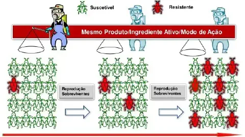 Este infográfico ilustra o processo de desenvolvimento de resistência de pragas a defensivos agrícolas. A imagem mostra, em t