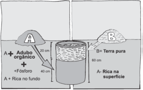 Como Preparar a Cova de Plantio Corretamente: Guia Visual diagrama técnico em preto e branco que ilustra o método correto para preparar uma cova de plantio. Ela demonstr