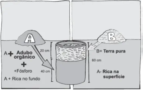 diagrama técnico em preto e branco que ilustra o método correto para preparar uma cova de plantio. Ela demonstr