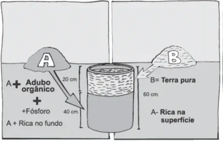 diagrama técnico em preto e branco que ilustra o método correto para preparar uma cova de plantio. Ela demonstr