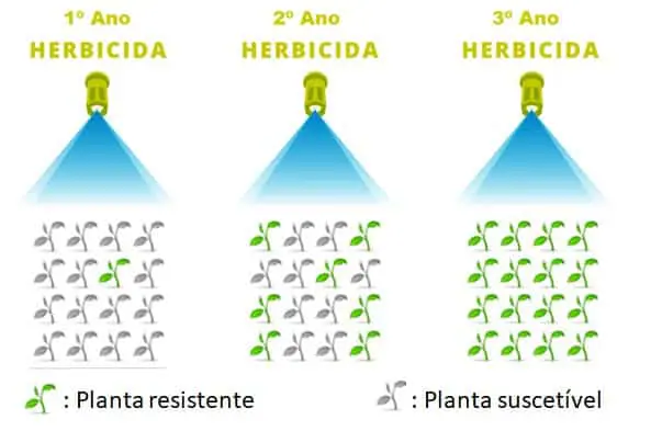 infográfico didático que demonstra a evolução da resistência de plantas a herbicidas ao longo de três anos. No