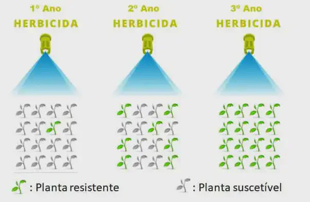 infográfico didático que demonstra a evolução da resistência de plantas a herbicidas ao longo de três anos. No