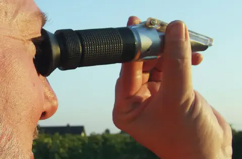 close-up de um homem, possivelmente um agricultor ou agrônomo, utilizando um refratômetro portátil em um am