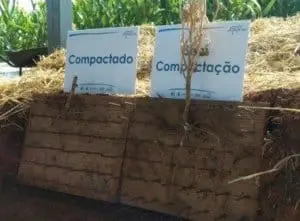 Tabela com diferentes sintomas visuais em plantas e no solo do efeito da compactação do solo