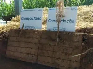 uma demonstração visual dos efeitos da compactação do solo na agricultura. Em primeiro plano, vemos um corte t