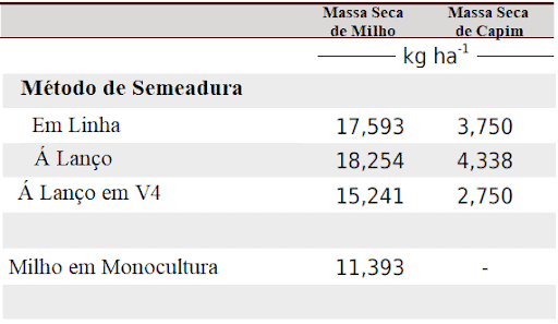uma tabela de dados que compara a produtividade de massa seca de milho e capim, medida em quilogramas por hect