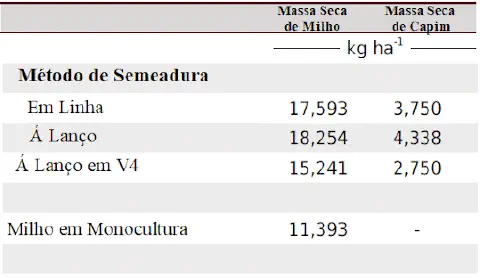 uma tabela de dados que compara a produtividade de massa seca de milho e capim, medida em quilogramas por hect