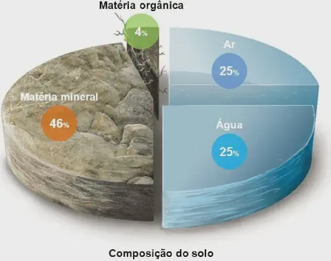 infográfico educativo que ilustra a composição ideal do solo para fins agrícolas. Apresentada em um formato de