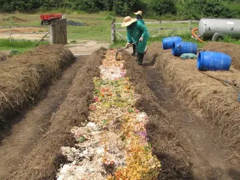 Processo de compostagem em larga escala em uma fazenda, com uma máquina revolvendo uma grande pilha de material orgânico.