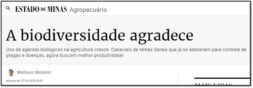 captura de tela de uma matéria jornalística do portal ‘Estado de Minas’, na seção ‘Agropecuário’. O título pri