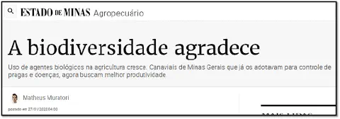 captura de tela de uma matéria jornalística do portal 'Estado de Minas', na seção 'Agropecuário'. O título pri