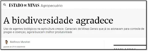 captura de tela de uma matéria jornalística do portal 'Estado de Minas', na seção 'Agropecuário'. O título pri