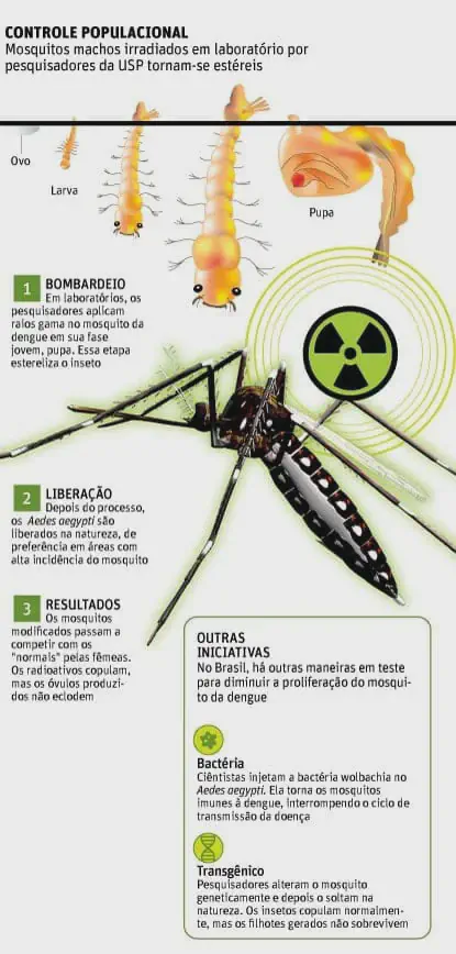 Este infográfico detalha métodos de controle populacional do mosquito Aedes aegypti, transmissor da dengue. A imagem foca em