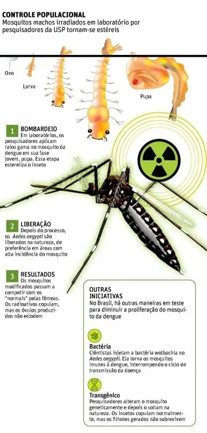Este infográfico detalha métodos de controle populacional do mosquito Aedes aegypti, transmissor da dengue. A imagem foca em