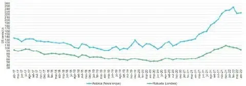 gráfico de linhas que compara a evolução dos preços do café Arábica e Robusta no mercado internacional entr