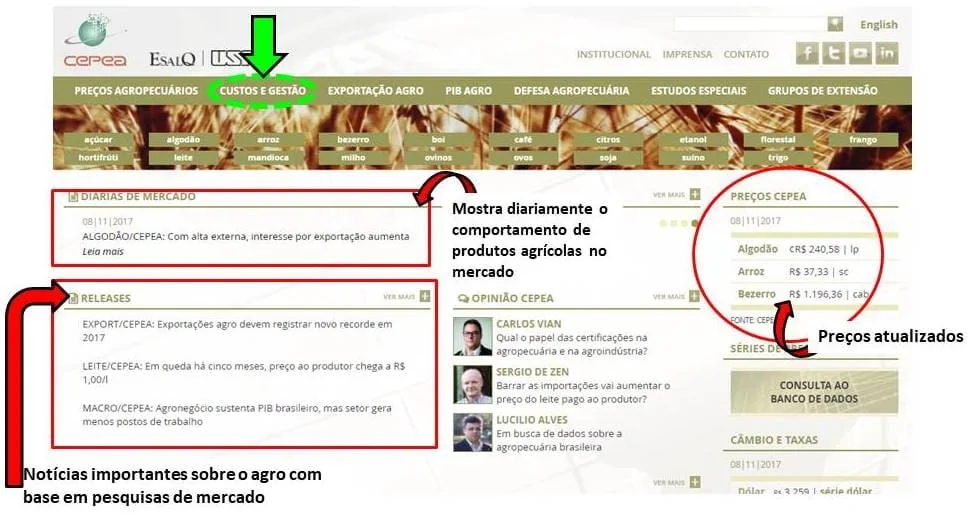 Cotações Agrícolas: Como Usar o Site do CEPEA para Gestão captura de tela do site do CEPEA (Centro de Estudos Avançados em Economia Aplicada), vinculado à Esalq/USP, um