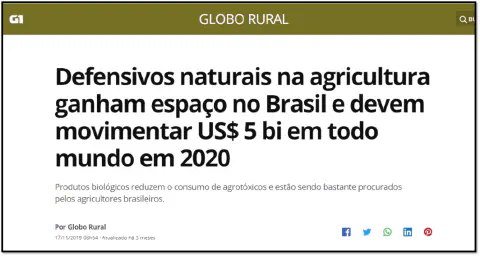 captura de tela de uma matéria jornalística do portal Globo Rural, veiculada no G1. A manchete em destaque inf