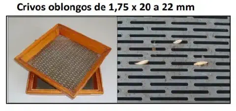 composição visual que ilustra o conceito de 'crivos oblongos', especificamente com dimensões de 1,75 x 20 a 22