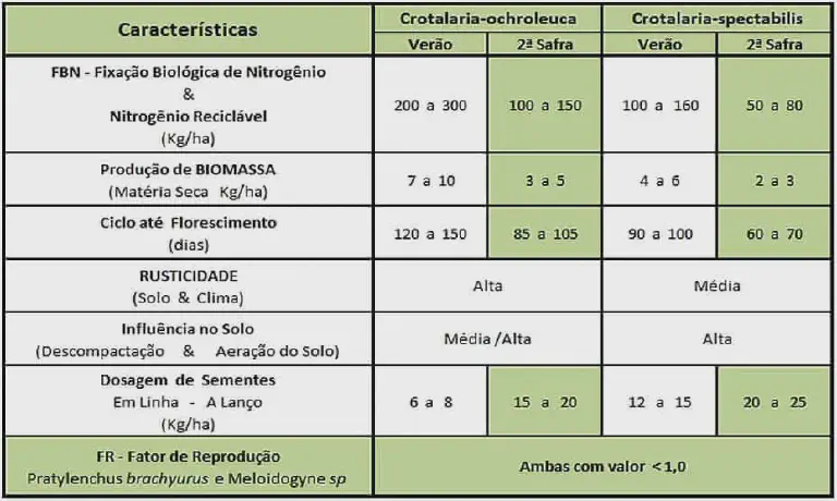 Crotalaria: Comparativo de Espécies para Adubação Verde tabela comparativa detalhada entre duas espécies de leguminosas, a Crotalaria-ochroleuca e a Crotalari