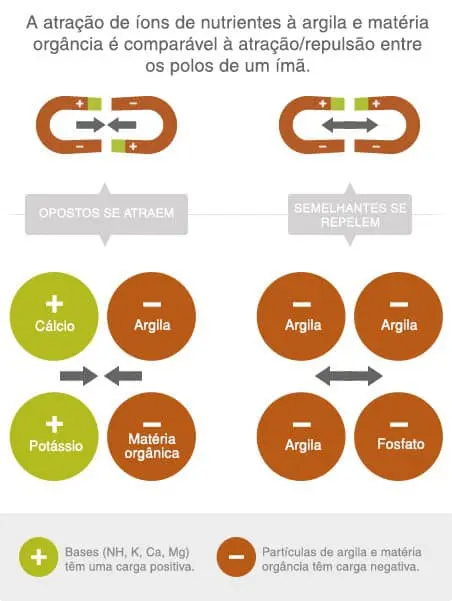 CTC do Solo: Entenda a Atração de Nutrientes na Argila Este infográfico educacional detalha o princípio da Capacidade de Troca Catiônica (CTC) no solo, um conceito fundamental para