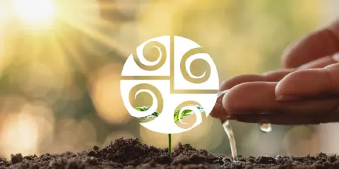 cena simbólica e inspiradora do ciclo agrícola. Em primeiro plano, uma pequena planta verde, um broto, e