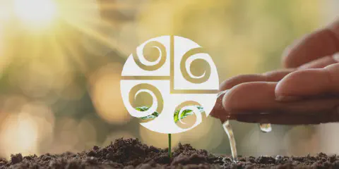 cena simbólica e inspiradora do ciclo agrícola. Em primeiro plano, uma pequena planta verde, um broto, e