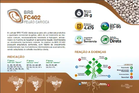 infográfico técnico detalhado sobre a cultivar de feijão carioca BRS FC402, desenvolvido pela Embrapa. O materi