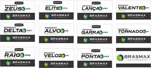 uma montagem organizada com doze rótulos de produtos da marca Brasmax, especializada em sementes para o agrone