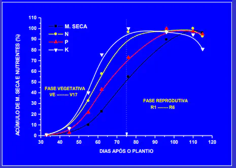 O gráfico ilustra a dinâmica do acúmulo percentual de matéria seca (M. Seca) e dos macronutrientes Nitrogênio (N), Fósforo (P